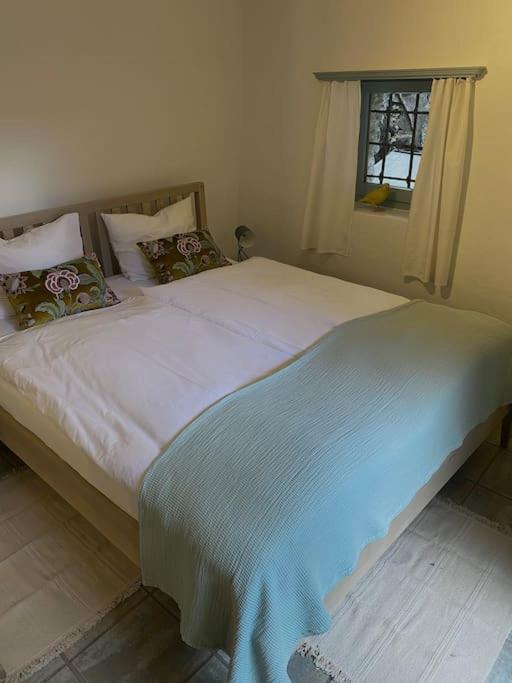 Holiday home Rustico Leoro